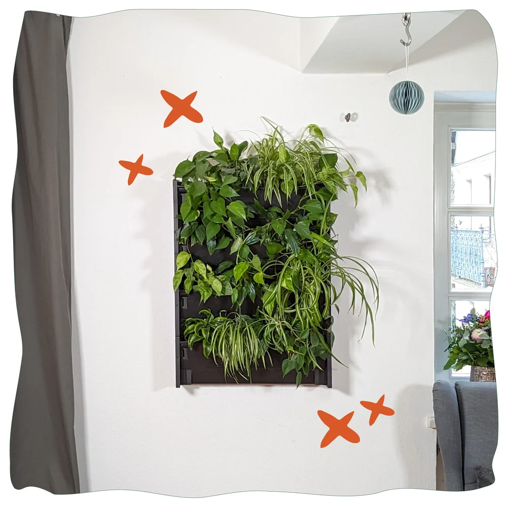 Ein Beispielbild für eine Wandbegrünung im Innenraum