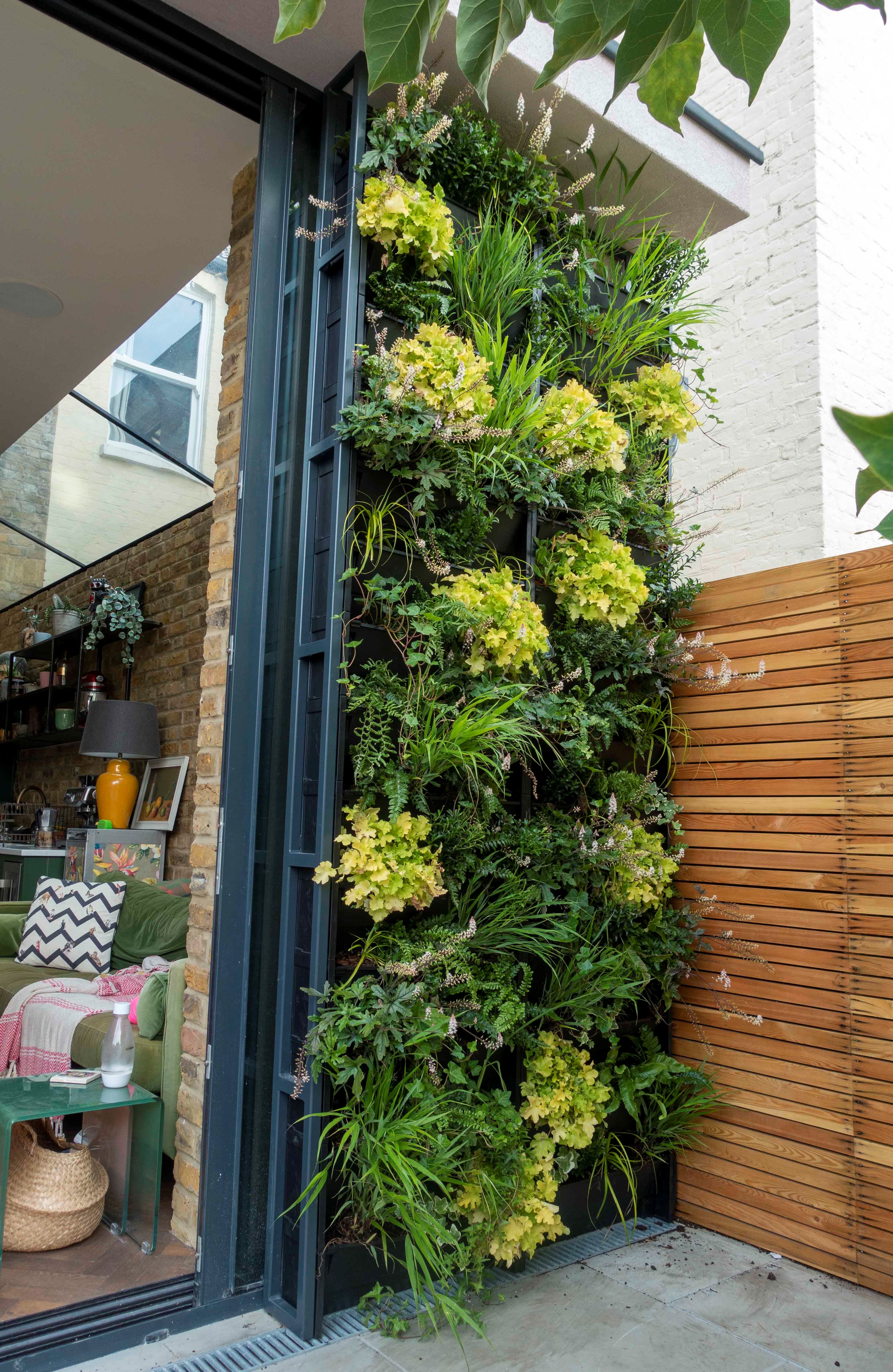 Pflanzenwand, Wandbegrünung, vertikaler Garten auf einem Balkon