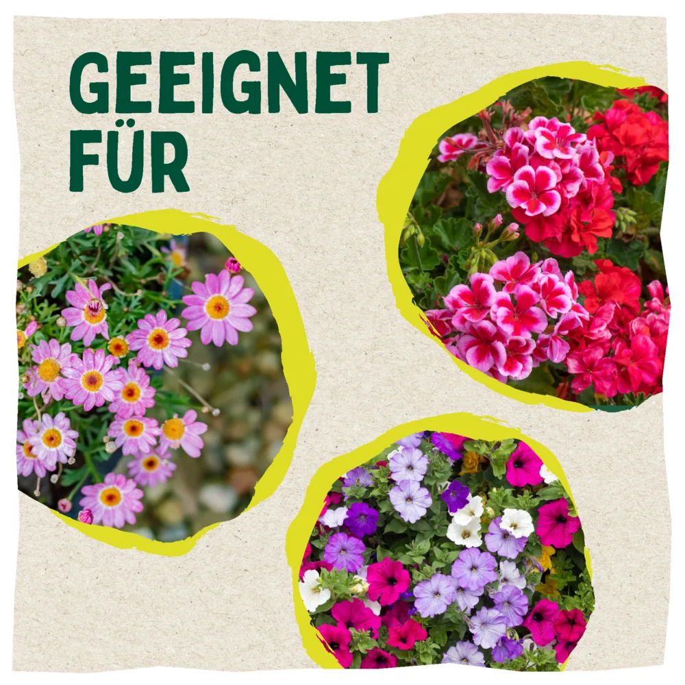 Eignungsgebiete Blumenerde