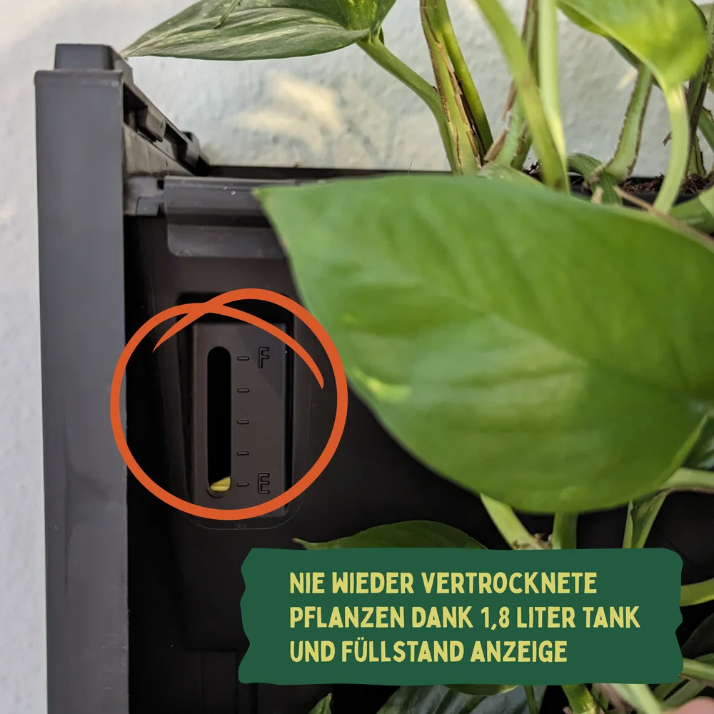 Der Wasserstandsanzeiger der PlantBox Pflanzenwand