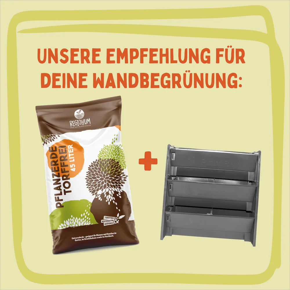 PlantBox Module und die geeignete Erde