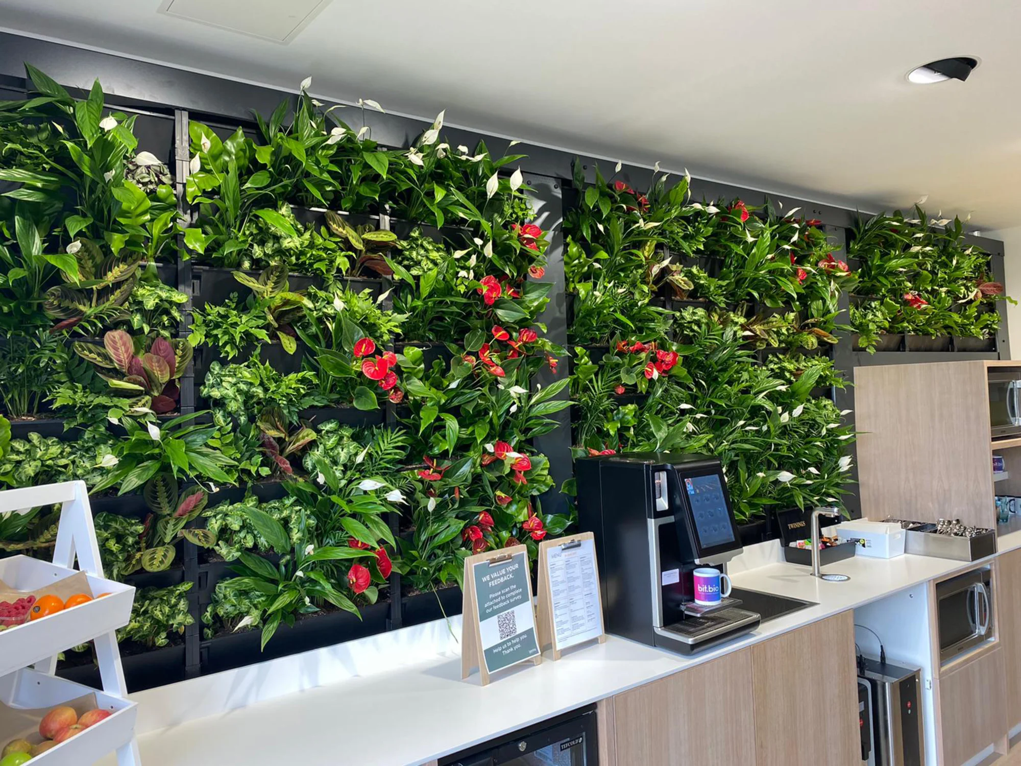 Pflanzenwand, Wandbegrünung, vertikaler Garten mit echten Pflanzen in einer Cafeteria